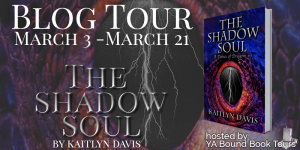 The Shadow Soul tour banner