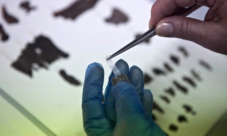 An Israel antiquities authority employee works on fragments of the Dead Sea scrolls