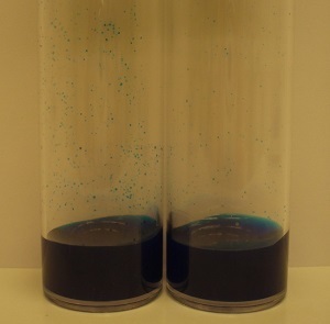 Food with a dye enables measurement of food intake