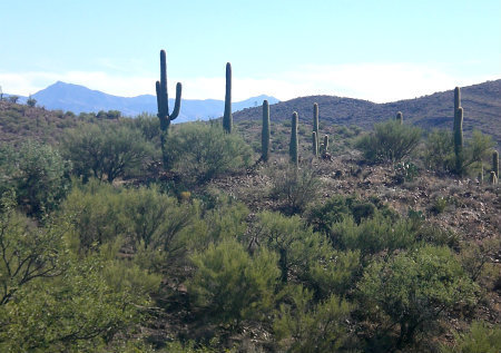 Colossal Cave 2 - Carol Cox