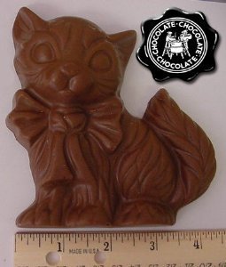 chocolate kitten