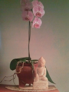 tmp_CAM04327295999922