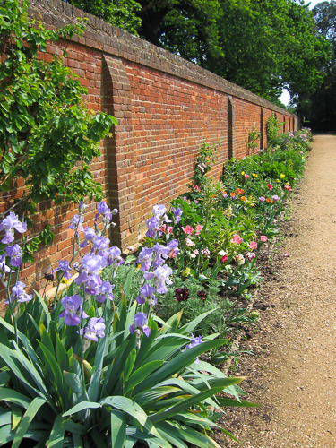 Flowers at Ham House