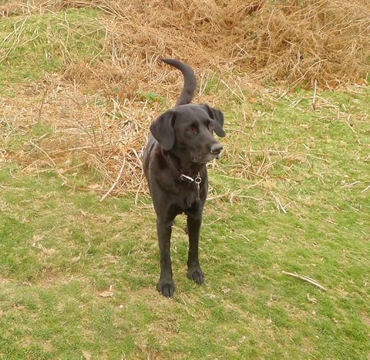 Tilly