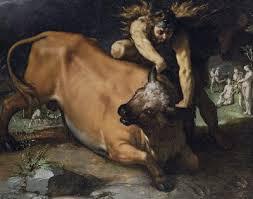 WrestlingBull