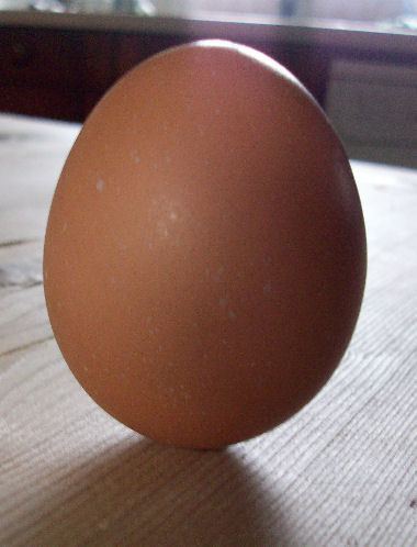 sep 11 egg bal1
