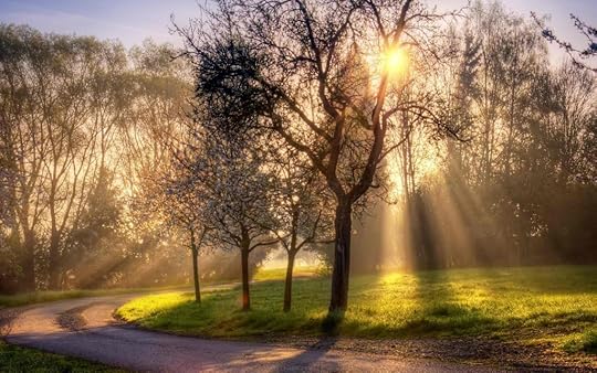 nature-spring-morning