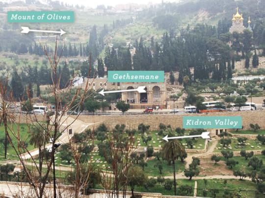 Experience the Holy Land without having to leave home!