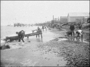 Prospectors sift through sand looking for gold along the beaches of Nome in 1903.