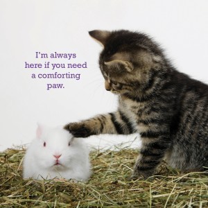 kitten_bunnnies