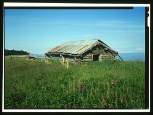 Iditarod Trail Portage Shelter Cabin, Golovin, Nome Census Area, Alaska. Prints and Photographs Division.