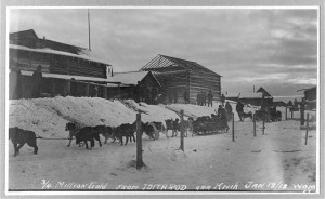 Dog sled arriving from Iditarod. Jan. 12, 1912. Prints and Photographs Division. 