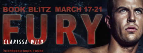 FuryBlitzBanner