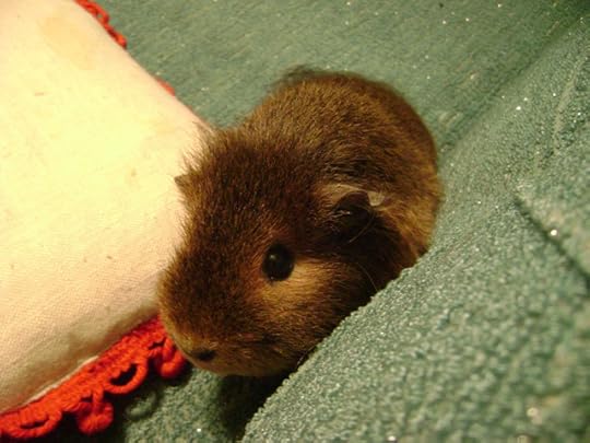 What was her name again? Moonbeam? Something like that. I can’t remember all the important things about The Neverending Story’s film version, The Nothing is my most consistent take-away from that movie. The Nothing and I are like BFFs on occasion.