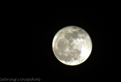 Photo courtesy of Sebring's Snapshots. Check out her blog or Facebook page!