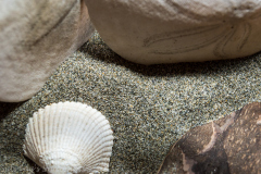 Photo courtesy of Sebring's Snapshots.