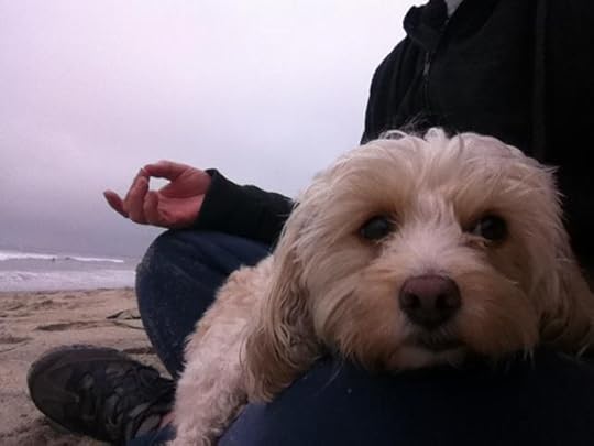 1098022_10151616953301032_701988347_n