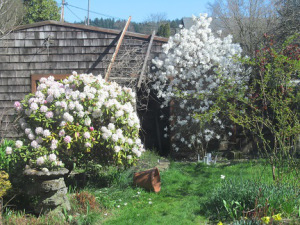 ~Outside~ A Rare Spring Day in Portland