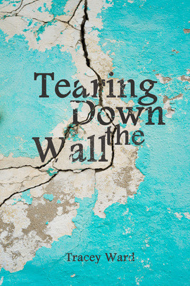 Tearing Down the Wall