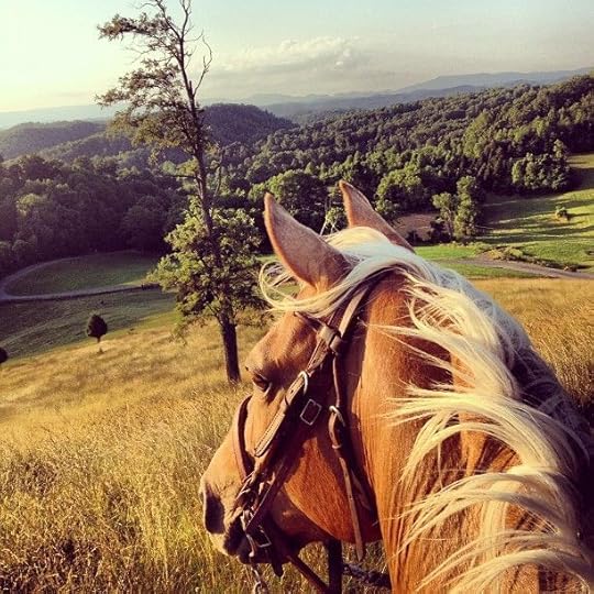  photo c57ebc74845190d2c98fd9dfbfaaeb18.jpg