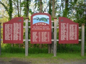 champ sign