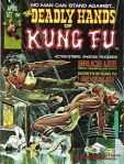 Deadly Hands of Kung Fu