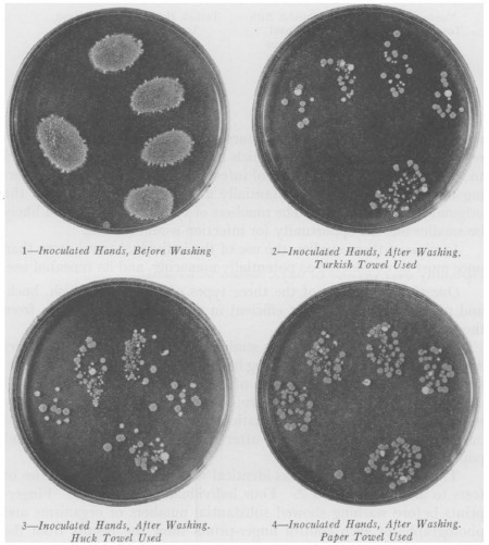 Samples of fingerprint data