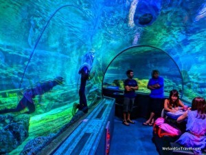Guam UnderWaterWorld cool colors