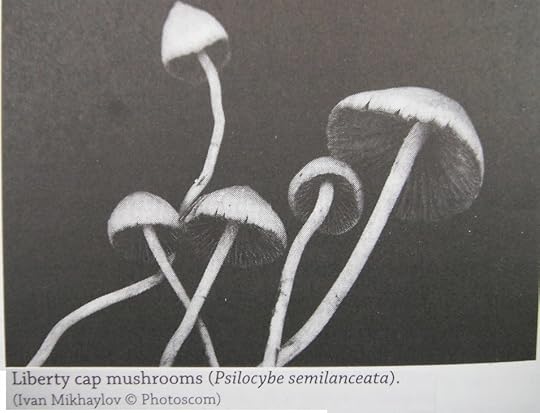 mushrooms