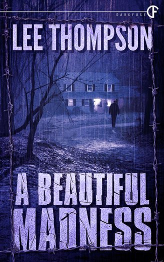 A Beautiful Madness novel cover