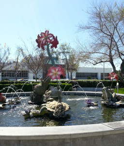 Water fountains--a nice adornment