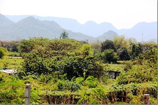 2012_02_17 Khao Yai (31)