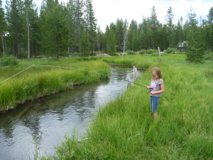 Eden fights a little brookie on Moose Creek. 