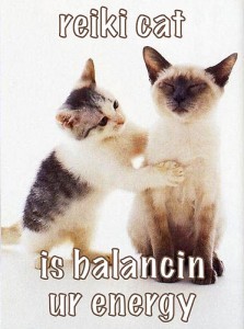 Reiki cat energy healing