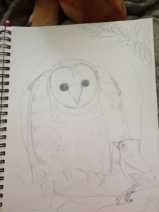 Bedtime-for-little-owl