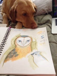 Bedtime-for-little-owl