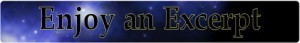 blog space excerpt