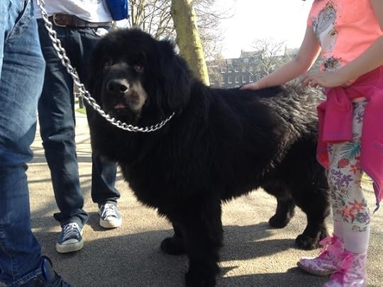 best dog ever black