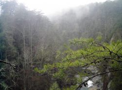 Gorge