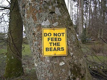 English: Do not feed the bears An unusual warn...