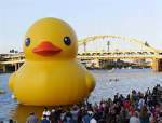 BigDuckPgh