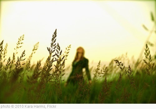 'Field Day' photo (c) 2010, Kara Harms - license: https://creativecommons.org/licenses/by-nd/2.0/