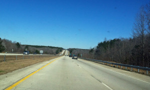 RP forest road 2