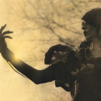 c94cbb2c94f95e309ae875a7f0cb84d4_large