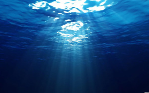 Ocean