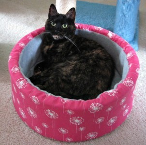 cat_bed