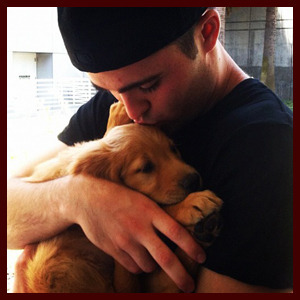 golden retriever kiss gif