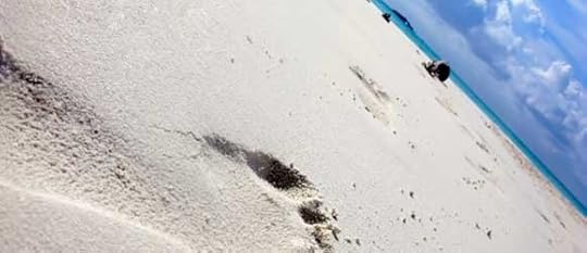 How I Found My Passion One Step At a Time