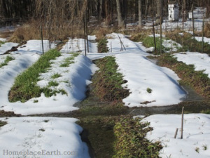 melting snow 2-18-14