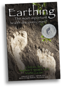 earthingbookcoverdropshadleft21